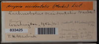 Image Associated With the Occurence